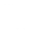 ecommerce-seo